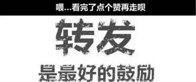 感谢有你，有一种奇迹叫“南充速度”！200余天完成最大体量城市