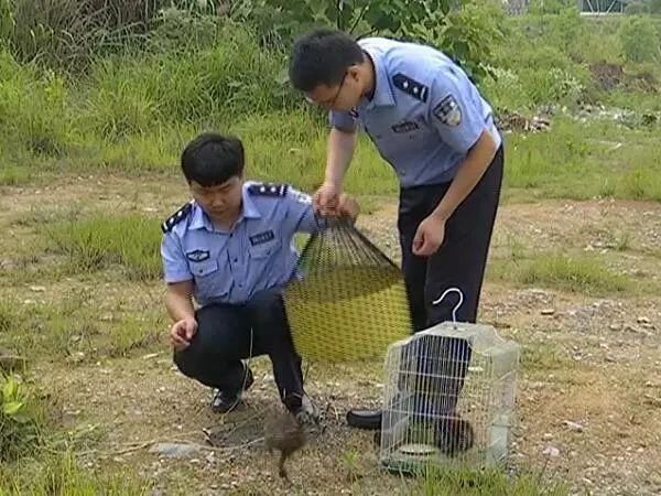 网警提醒新余一男子在快手APP发布一段视频