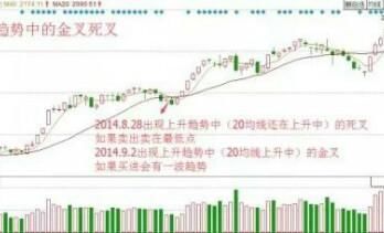 尊重市场，顺势而为