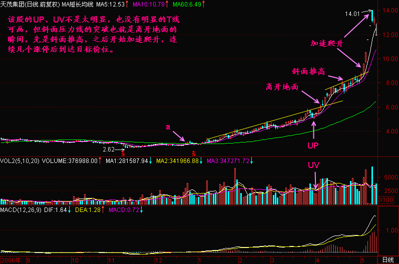 一位老股民的滴血经验：坚持只买一种类型股票赚翻天，千万要切记