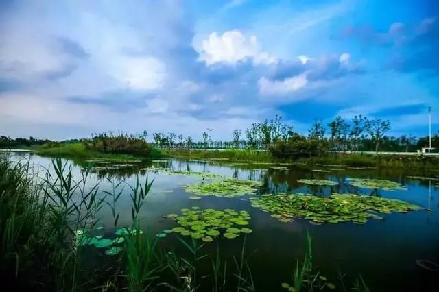 你住在哪个区?最近徐州这几个区吵起来了…_
