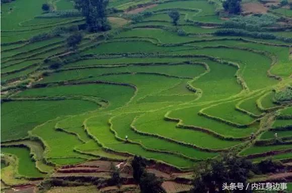 内江生活｜内江周边藏着的几个山水梯田，风景美如画！一天来回！