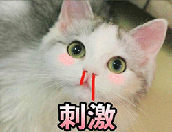 歪头表情包图片 t01dddc38dc88040a58.gif