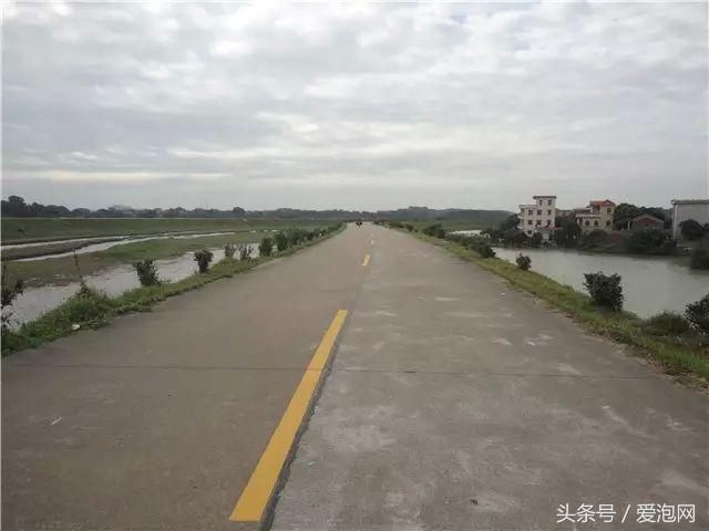 江门市这几条最美乡村公路，到江门自驾旅游必去