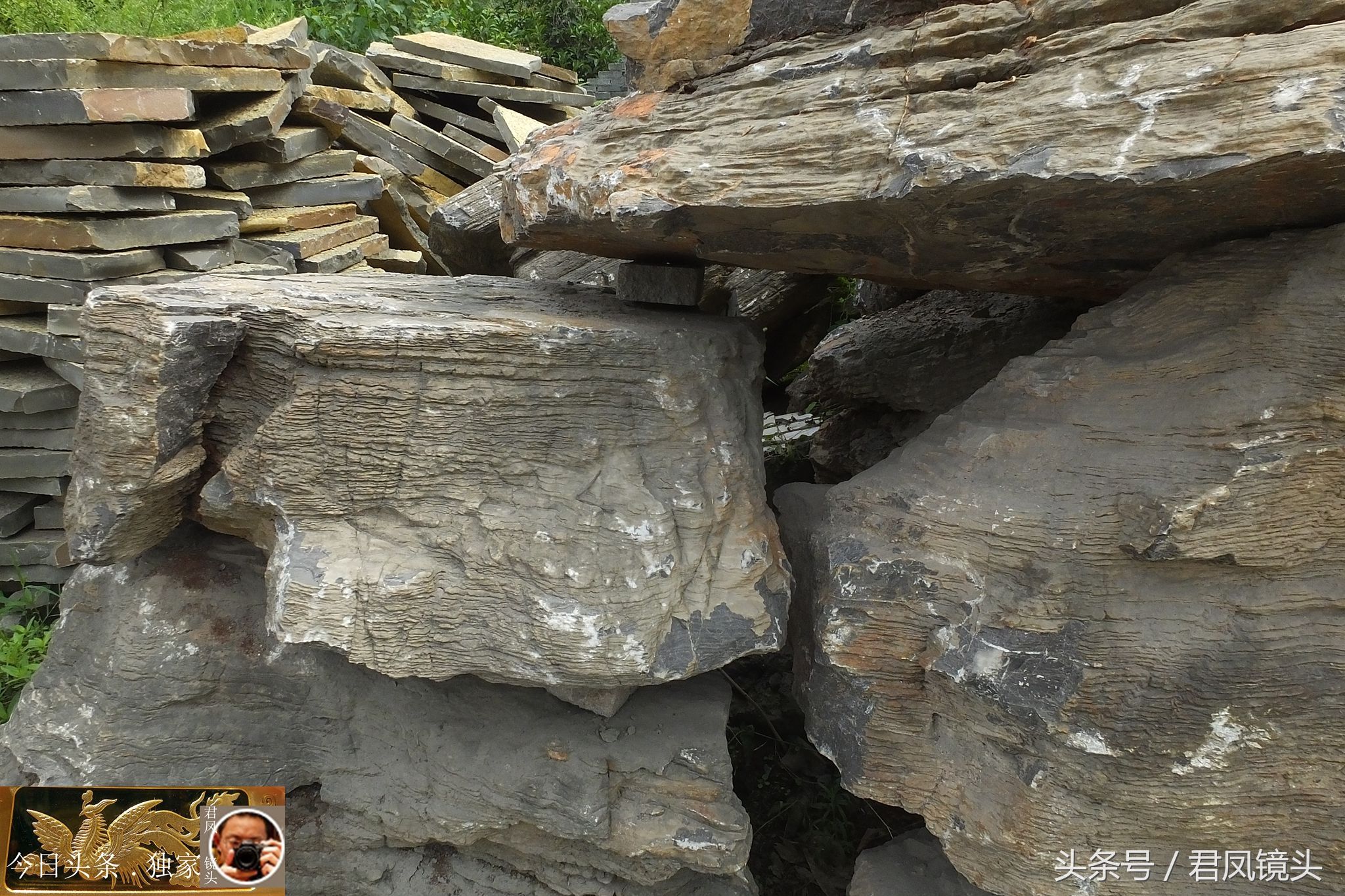 奇石摄影:园林景观石长相奇异!“大展宏图”售价580万元!