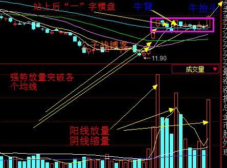 中国股市进入“躺着赚钱的时代”，大量亏损严重股民忽悠退市