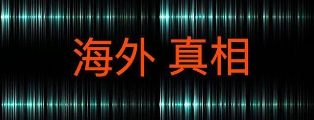 外籍华人造谣“中国人活得像野人”，被华人华侨和留学生当众围堵