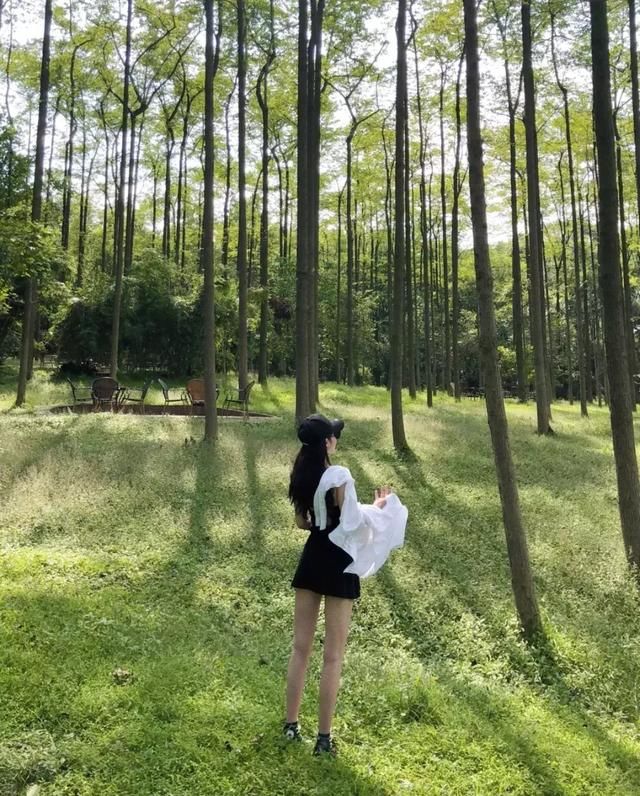 成都植物园的桃花又火了!3月看花指南都在这儿