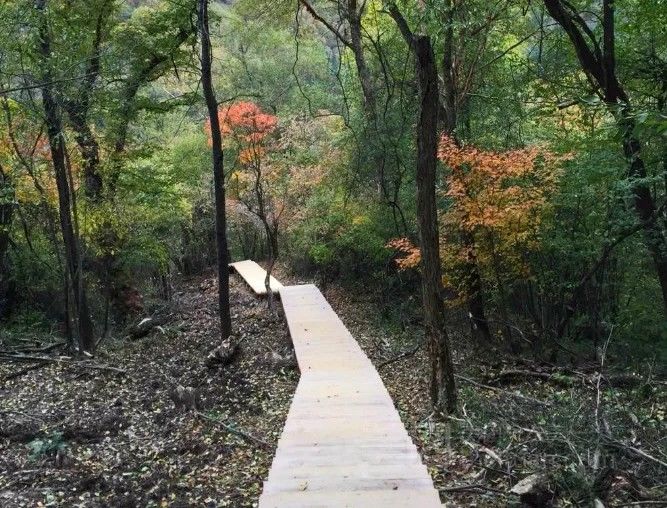 陕西宝鸡凤县通天河国家森林公园美景