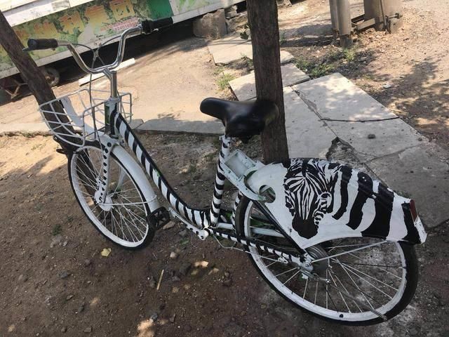 沈阳街头:酷奇单车被涂鸦 摇身一变成斑马 网