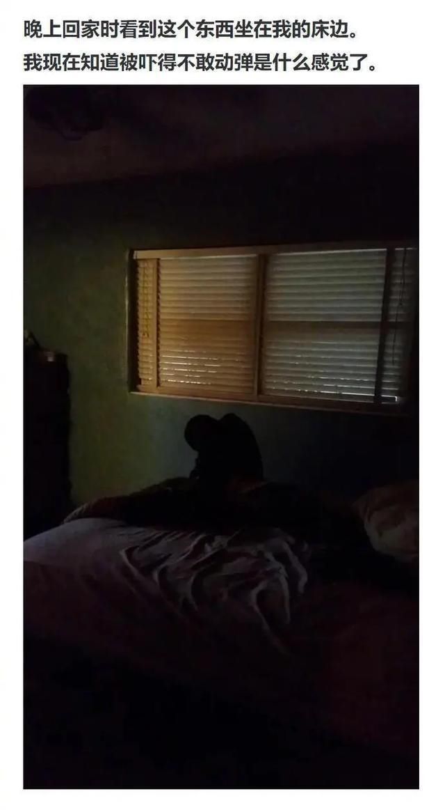 生活中遭遇的那些灵异事件，太太太太真实了