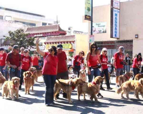 第119届罗省华埠新春金龙大游行在洛杉矶华埠举行