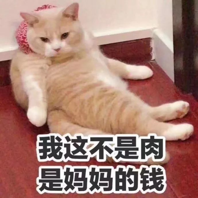 鸽子公公下周可不放太阳哦!大熊猫残疾图片