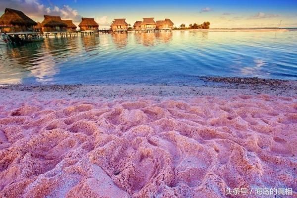少女心炸裂!世界十大最梦幻的粉色沙滩,情侣必