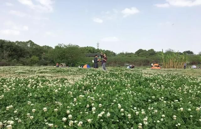 成都人的五一郊游地图出炉｜10个好地方，全家一起去游乐！