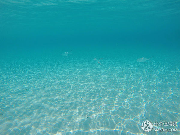 头脑一热，去马来西亚热浪岛了