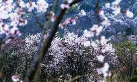 今夜冷暖气流再度交汇，下雨降温卷土再来！别担心，还有一个好消