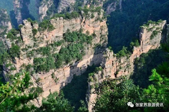 张家界旅游攻略:张家界值得一看的景点，个个都是世界之最!