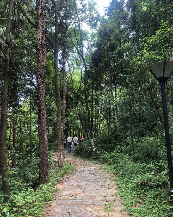 武汉黄陂一处空调盛开地,景生姜少如鲜花自然美人贮存用什么药图片