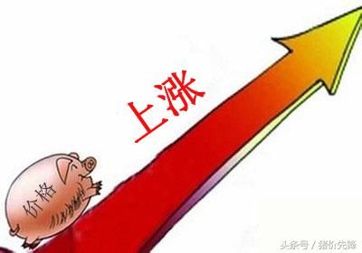 3月份猪价上涨的理由！