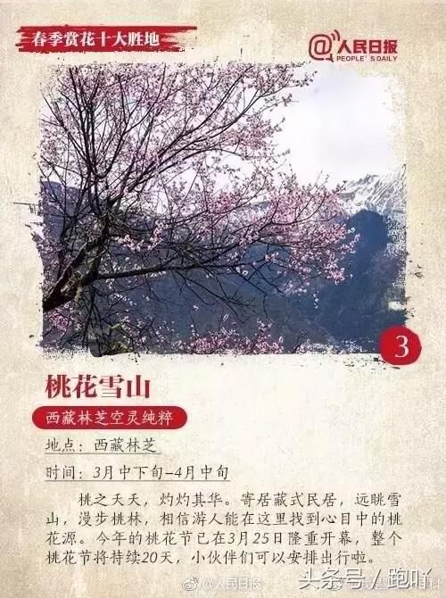 清明出游去哪儿？春季赏花十大胜地