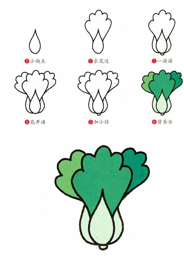 大青菜绿油油,叶梗像个小雨点,先画个叶梗,菜叶像朵大花,再画上菜