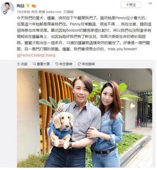 陶喆发文悼念去世爱犬:感受到生命的奇妙与脆