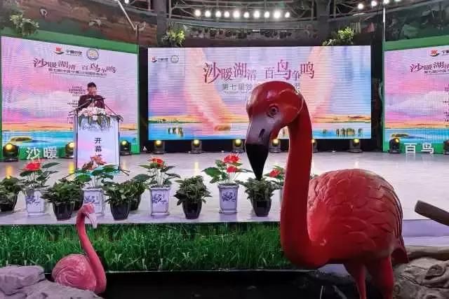 大美宁夏，火热盛夏来临，一起走进大自然~