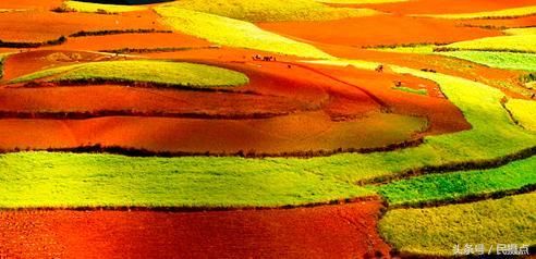 5月的云南美美滴-与大家一同分享云南旅游 摄影的景色