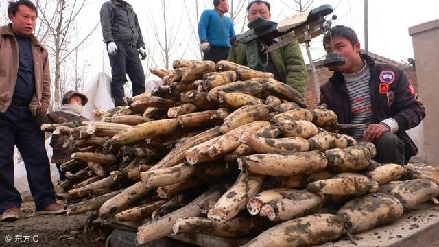 盘点中国农民一直以来面临的7个问题,2018年,改变才能有未来!