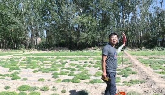 农村香甜野果奶瓜瓜，合适宝宝和孕期妈妈的补钙野果，120元一斤