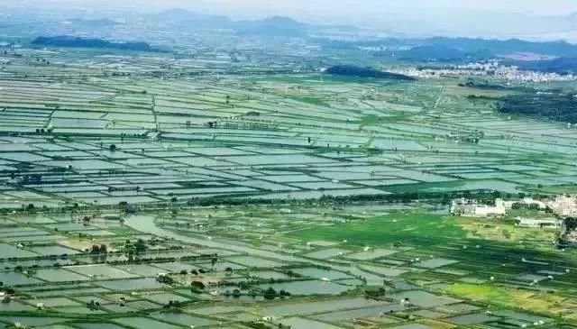 潮州某镇被省点名