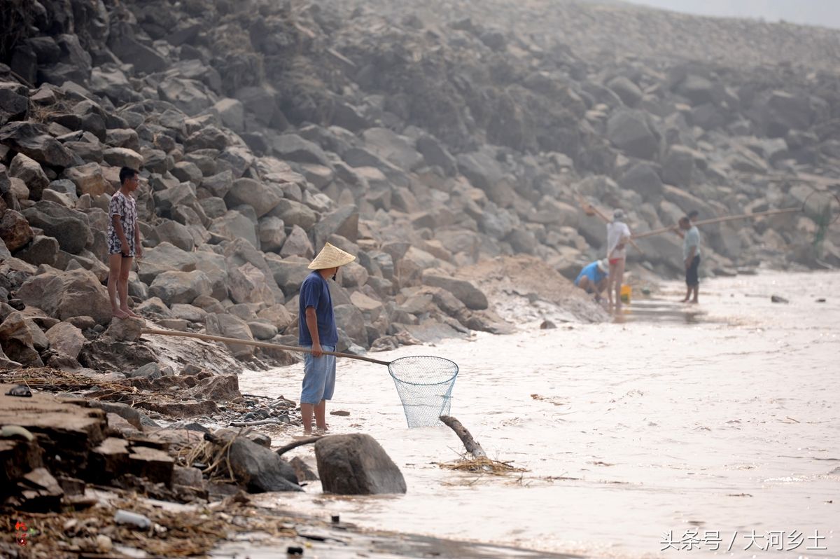 黄河流鱼奇观不再，大叔河边等一天捞了三条鱼，有人却摸起了螃蟹