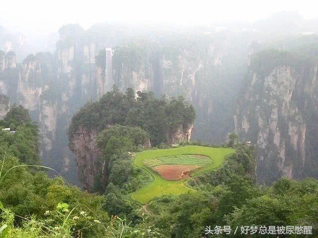 全球最险的一块空中稻田就在中国 位于2000米山峰之巅