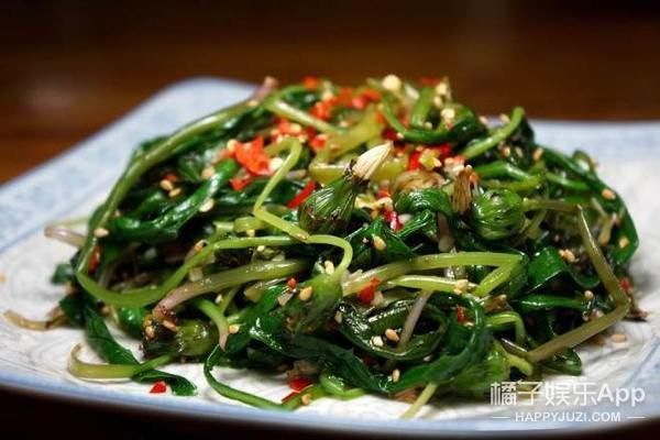 不负春光不负卿，来颗野菜行不行?