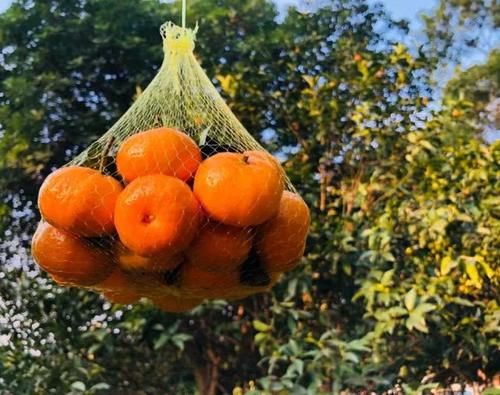 长沙高铁有几个高铁