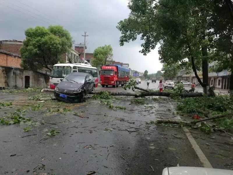 江西地区1人遭雷击！狂风暴雨雷电袭赣！多地受灾