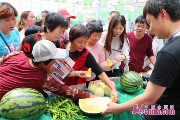 2018中国(昌乐)西瓜节今日开幕 亮点纷呈