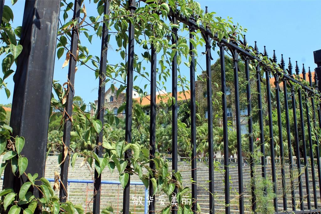 厦门市十五届人大五次会议