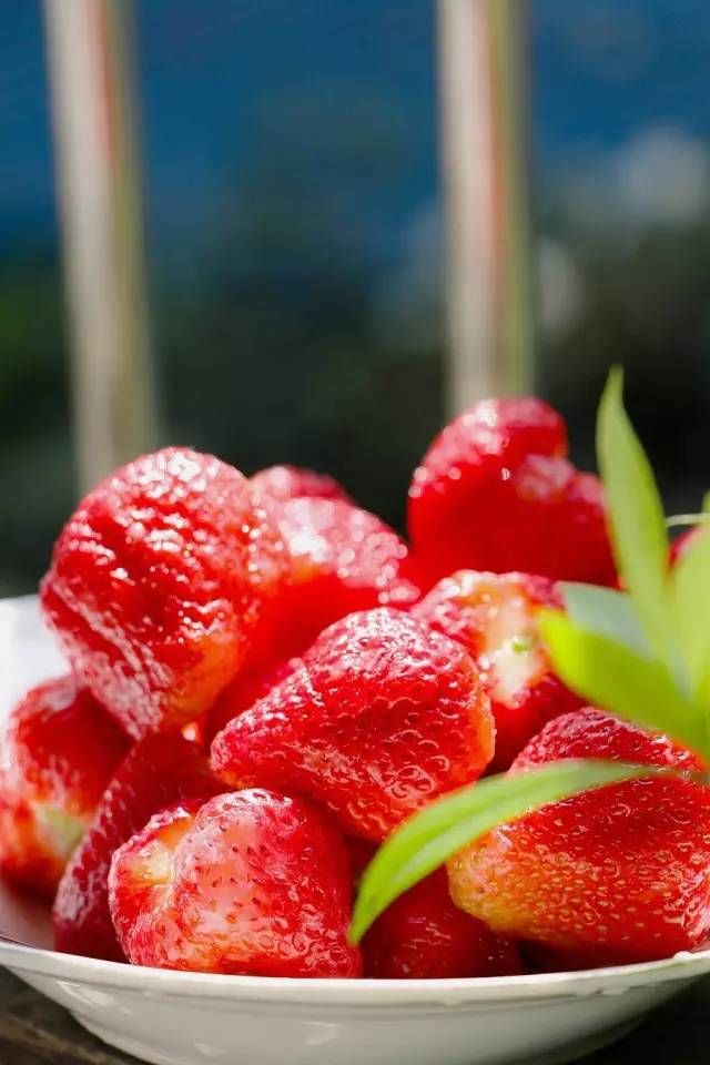 银川周边最全采摘草莓蔬菜桃子全攻略!