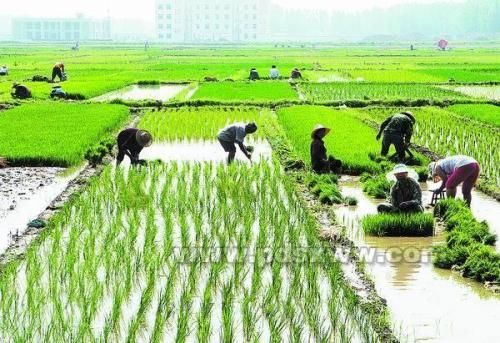2018年农村土地征收补偿标准是多少钱一亩,你知道吗?