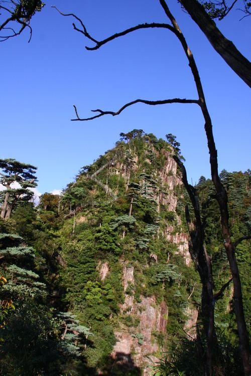 莽山国家森林公园风光