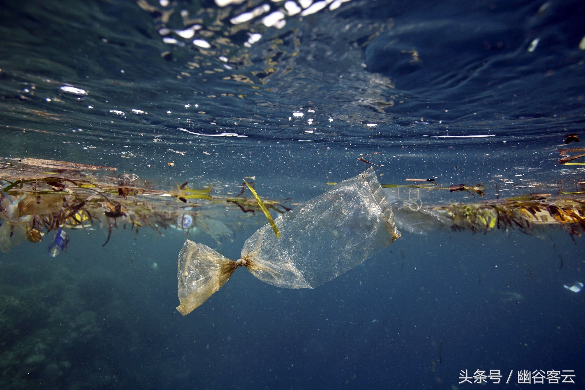 全球第一大的垃圾场:不在陆地上而在海洋里，面积相当于四个日本