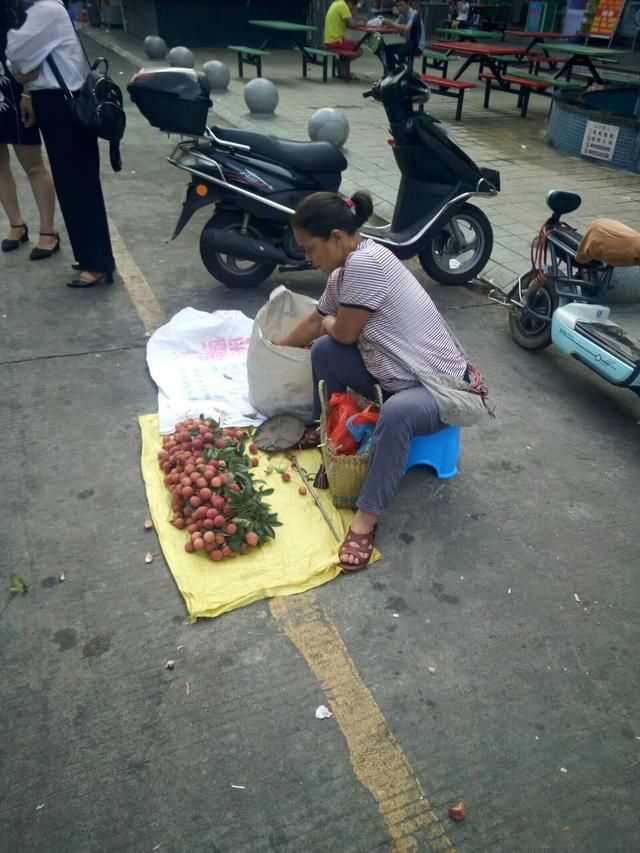 毛织厂招聘_展厅接待人员(3)