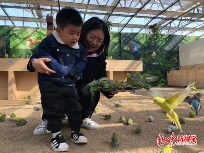 实拍第七届北京农业嘉年华现场,在昌平草莓博