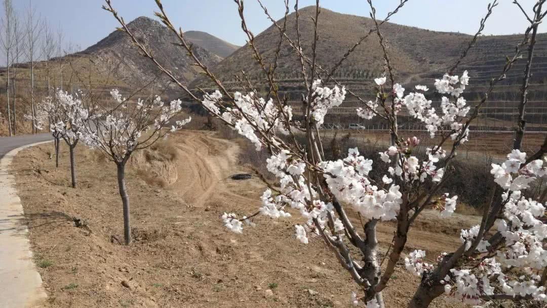 尧京，不仅仅是酒庄，还有春日的乡愁