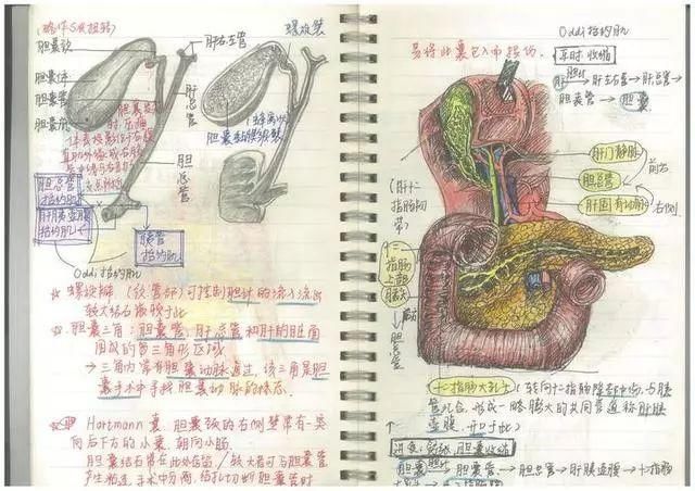 浙大学生笔记