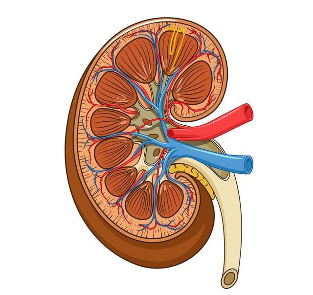 身体出现这些迹象,说明你缺乏蛋白质,要补充了