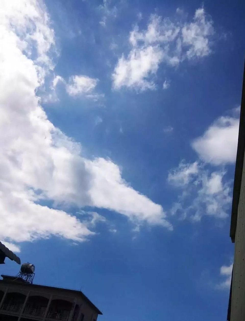 今天整个广东都在大暴雨?唯独吴川阳光明媚!_