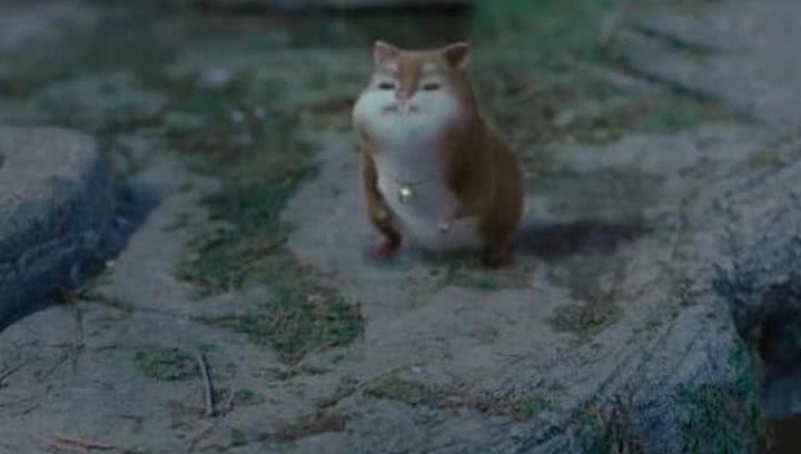 《扶摇》要找的最后一件神器是元宝身上的铃铛